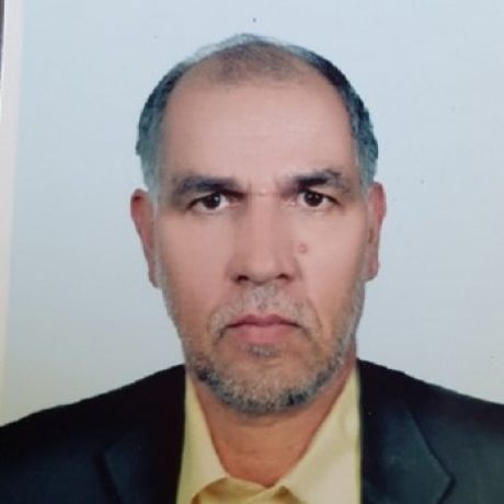 تصویر پروفایل مجتبی علیرضایی